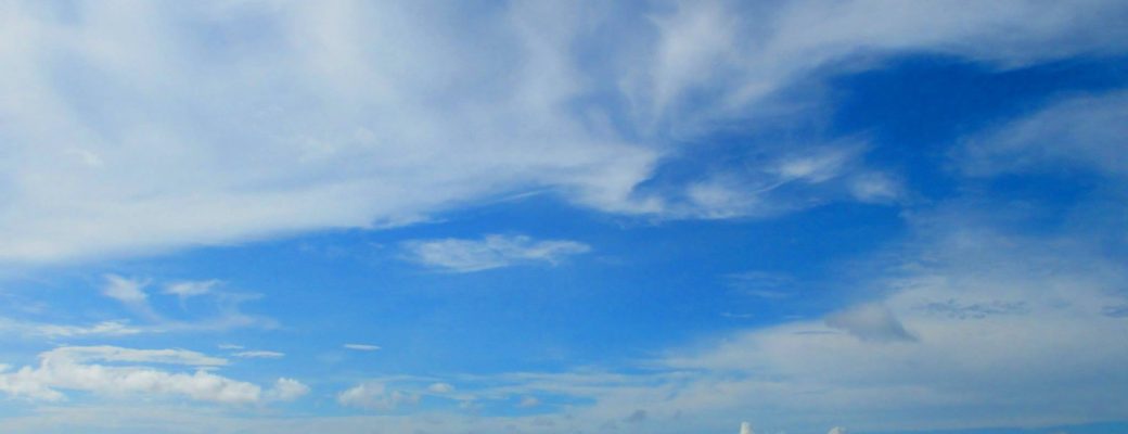 Shocking Statistic: 80% Of Paths Report Regular Beatings